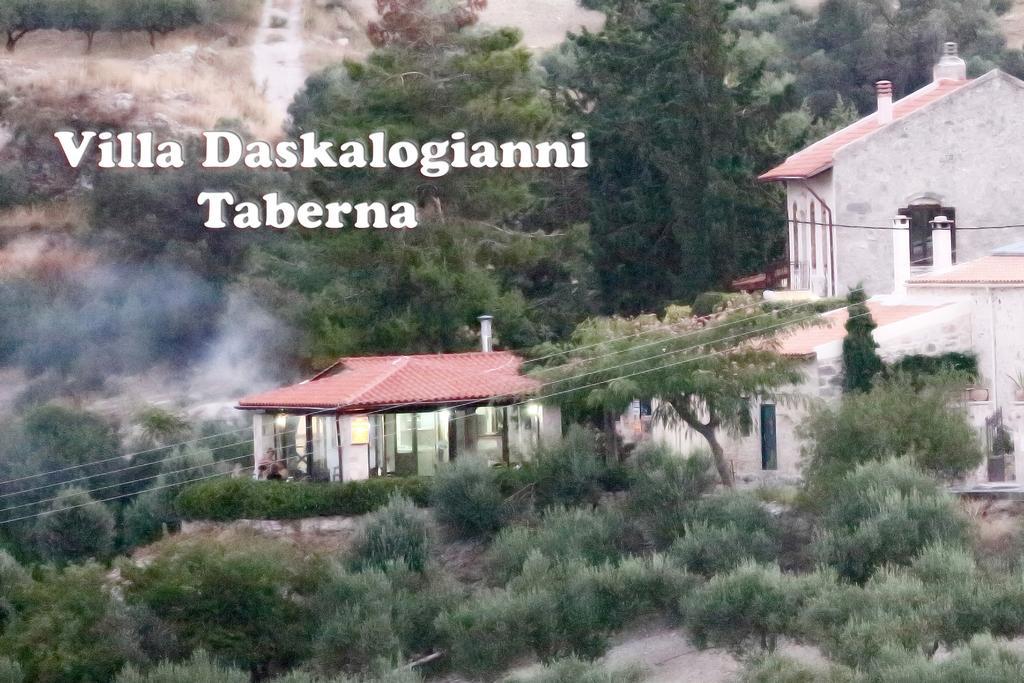Διαμέρισμα Daskalogianni *